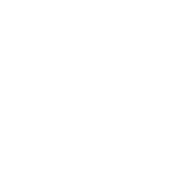 Bison MTB 60